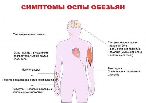 Гипоспермия: что это? Лечение, причины и симптомы заболевания