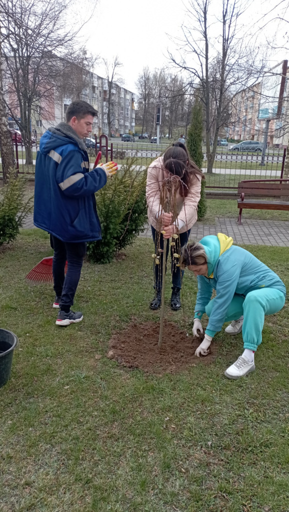 subbotnik-2022-3__jpg.jpg
